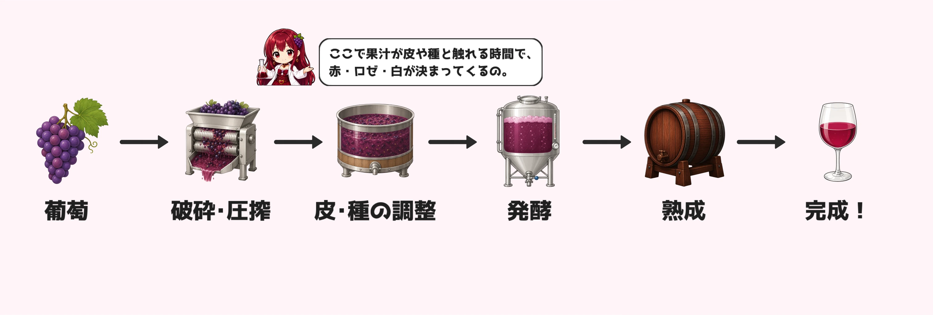 ワインの製造工程
