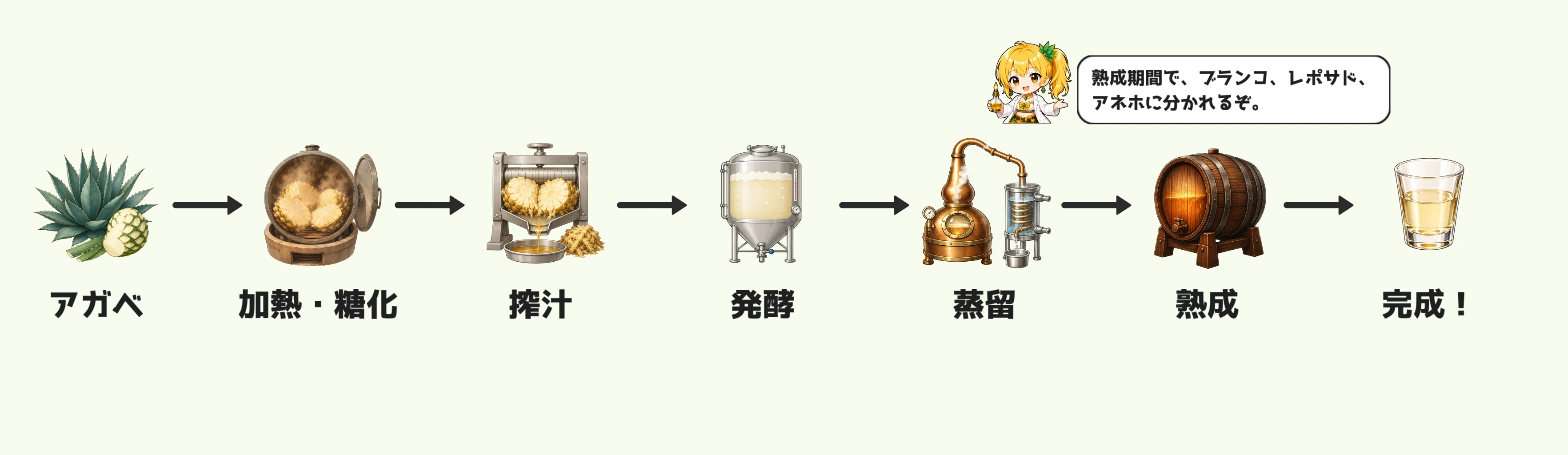 テキーラの製造工程